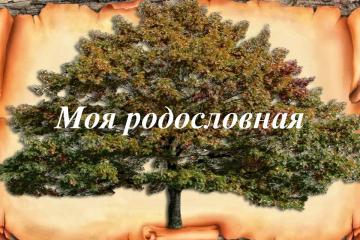 ��� �����������