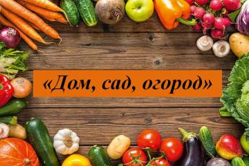 ����������� ����, ���, ������