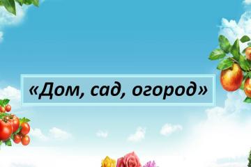 ����, ���, ������