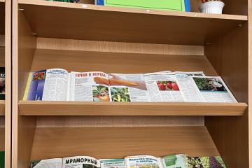 ��� ������� ������ ����� � �������